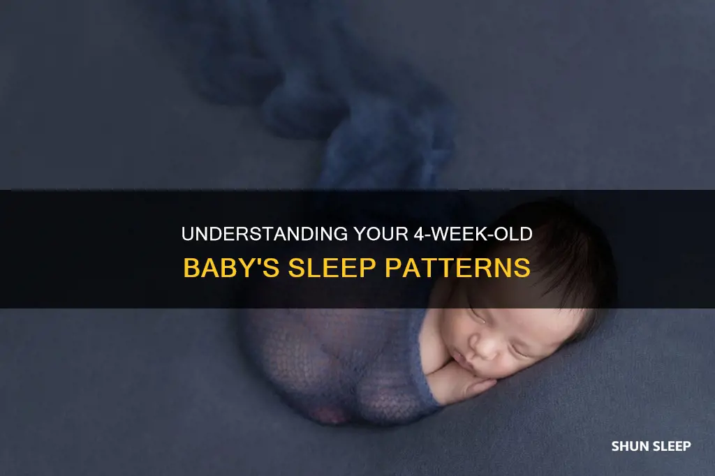 how often does 4 week old sleep