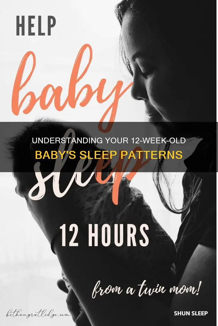 how often does a 12 week old sleep
