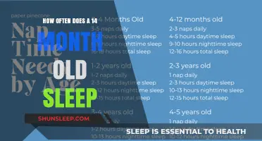 Understanding Your 14-Month-Old's Sleep Patterns