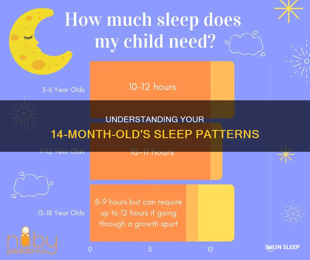 how often does a 14 month old sleep