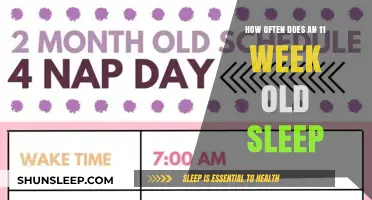 The Sleep Patterns of 11-Week-Old Babies