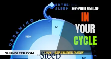 Understanding REM Sleep Cycles and Their Frequency