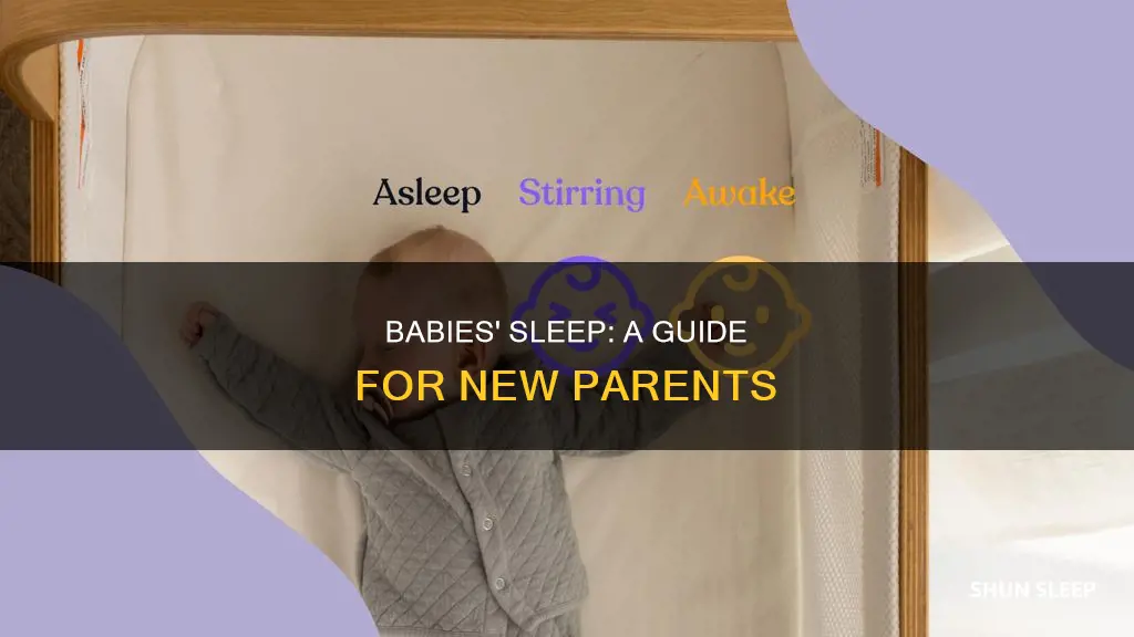 how often should 1 month old sleep