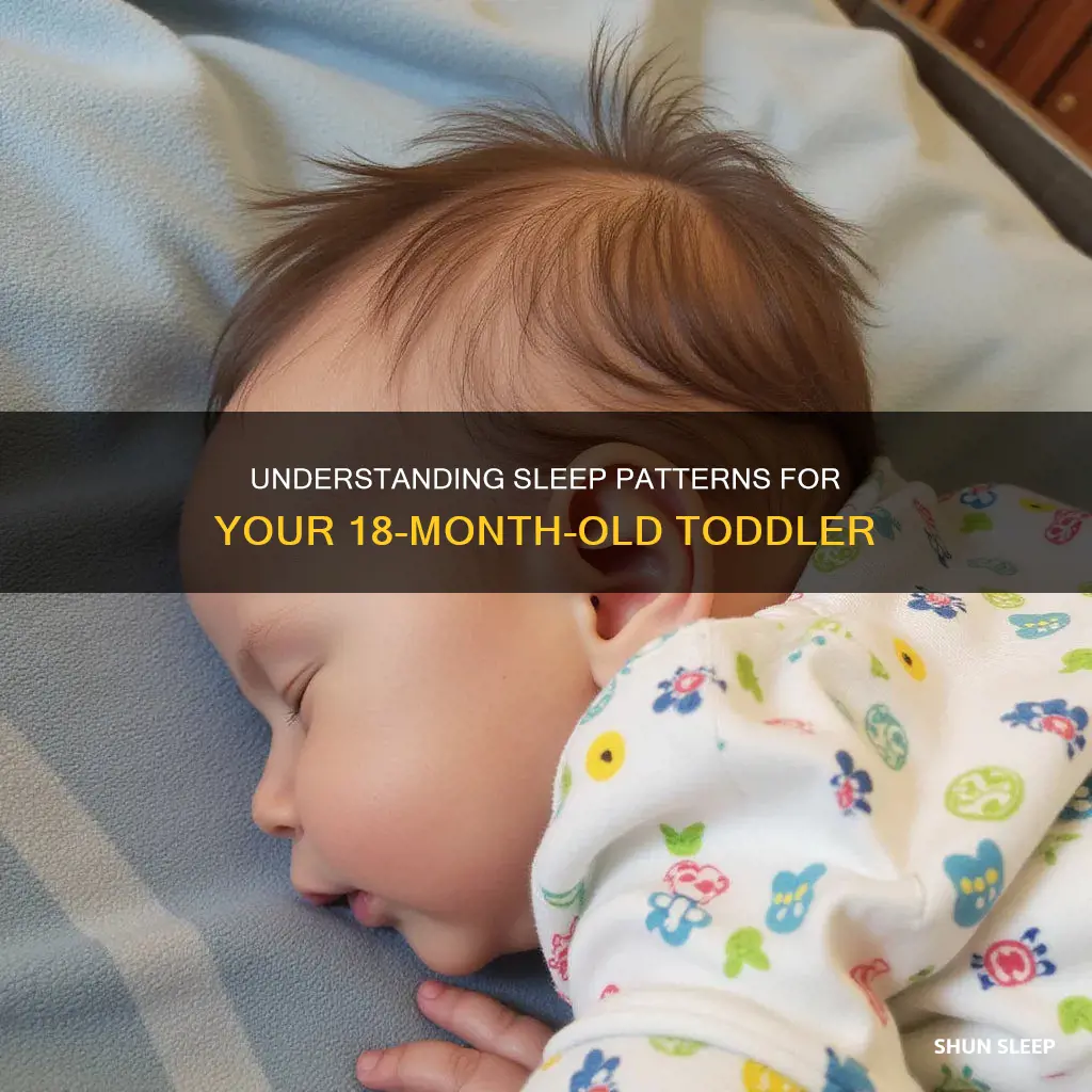how often should 18 month old sleep