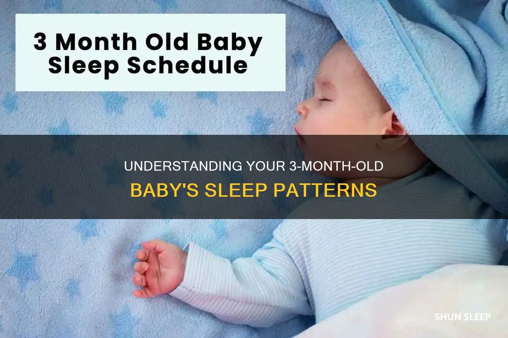 how often should 3 month olds sleep