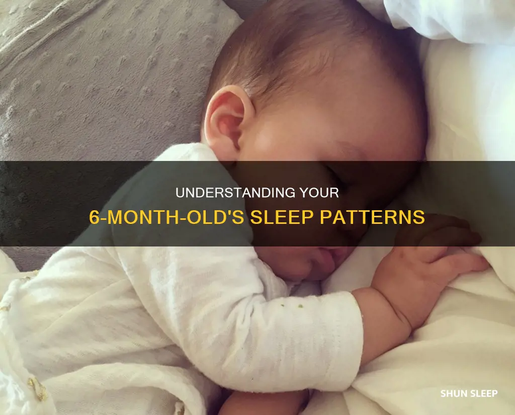 how often should 6 month old sleep