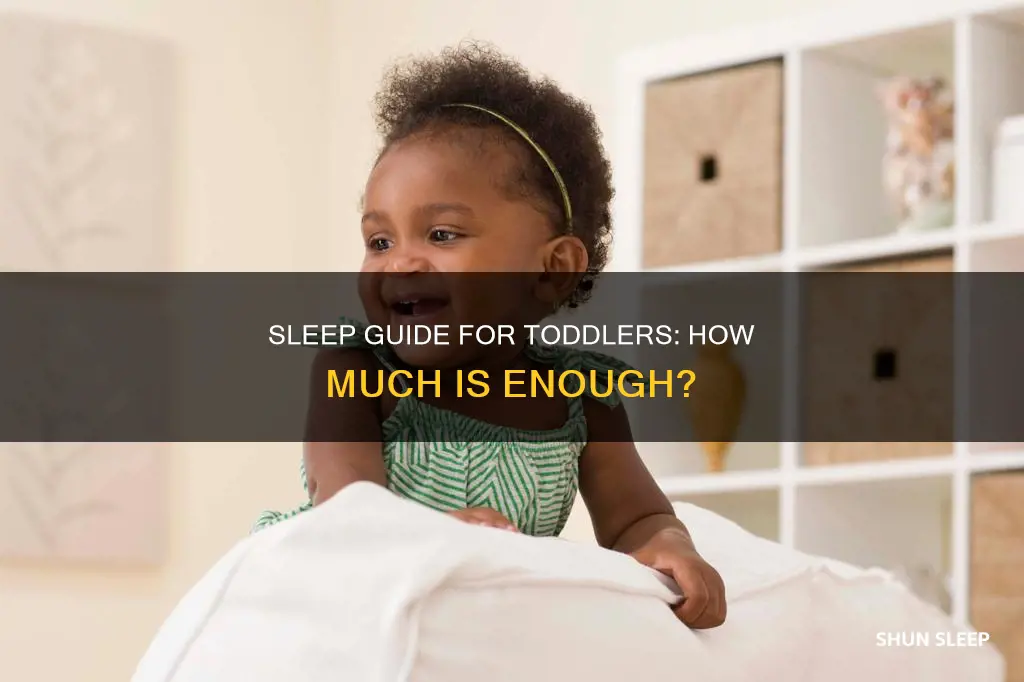 how often should a 15 month old sleep