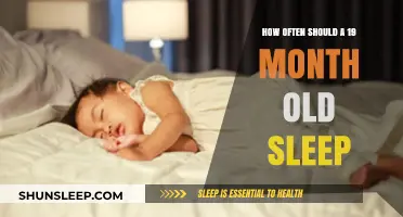 Sleep Guide: 19-Month-Olds and Their Sleep Patterns