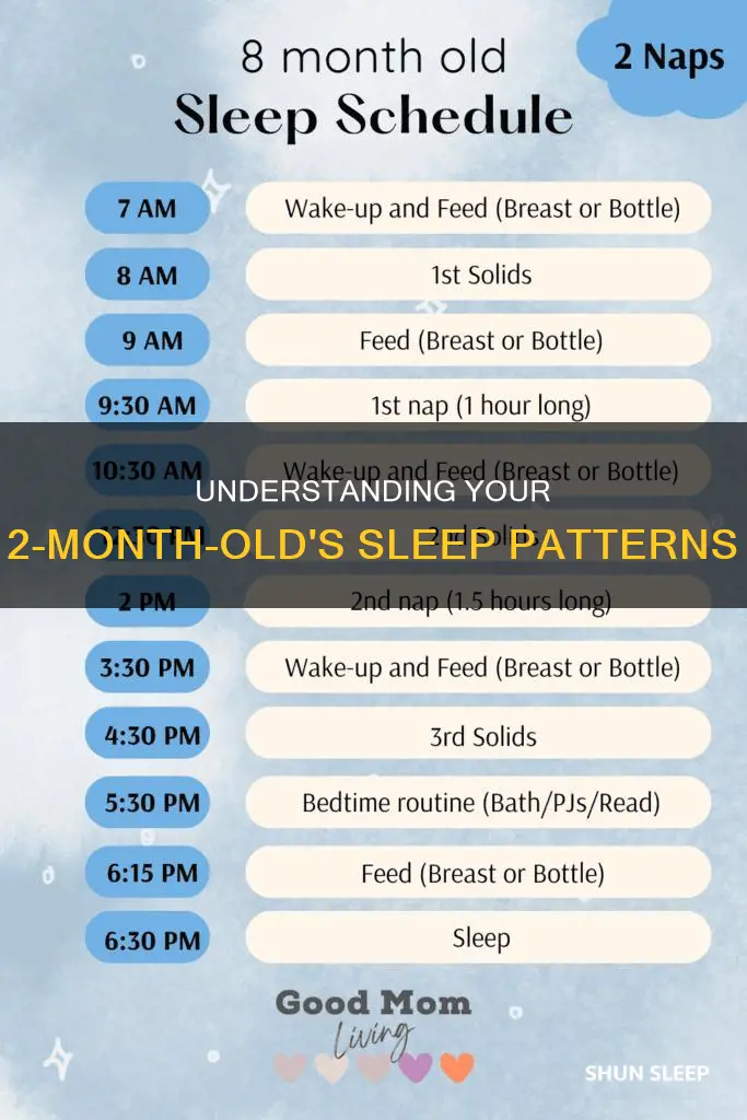 how often should a 2 month old sleep