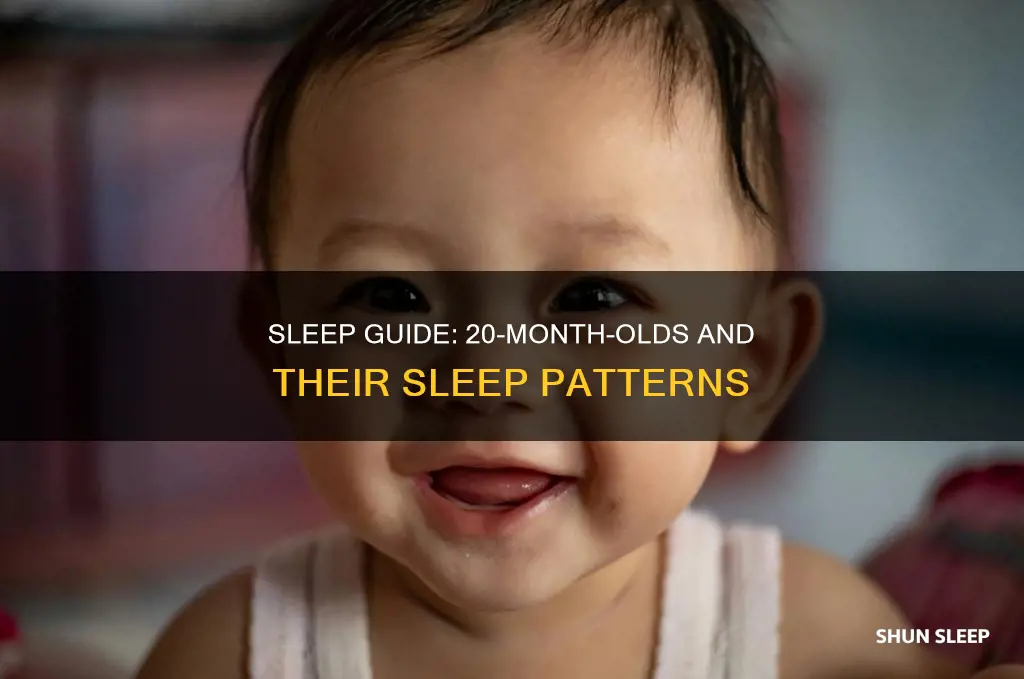 how often should a 20 month old sleep