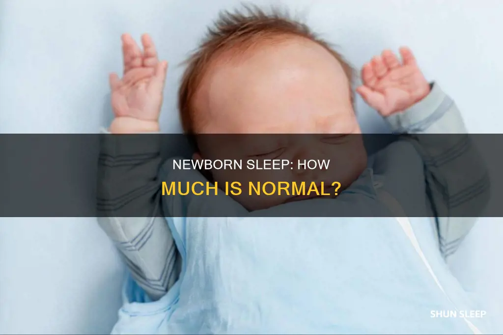 how often should a 4 day old sleep