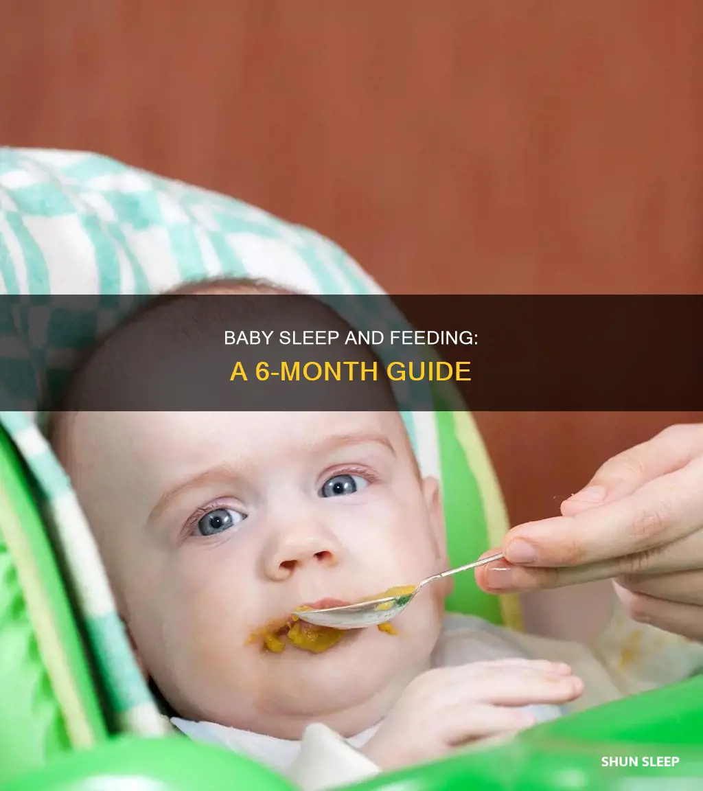 how often should a 6 month old eat and sleep