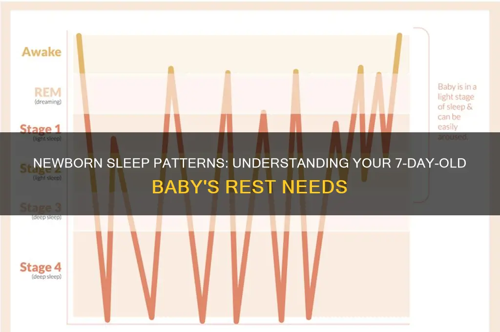 how often should a 7 day olf baby sleep