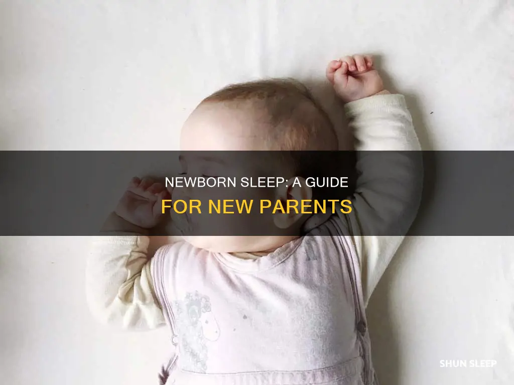 how often should a 7 week old sleep
