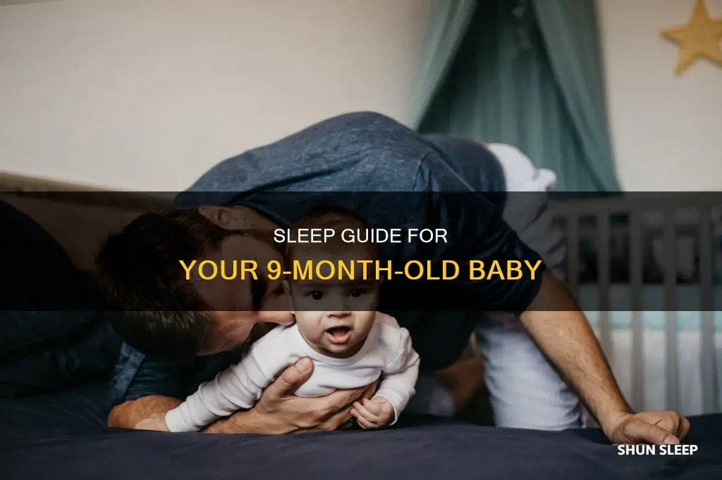 how often should a 9 month old sleep