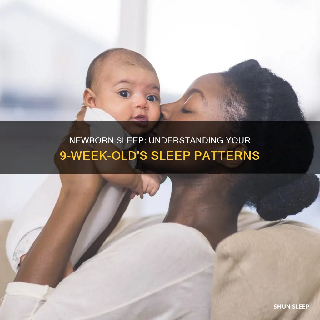 how often should a 9 week old sleep