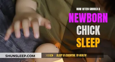 Chicks' Sleep: How Much is Enough?