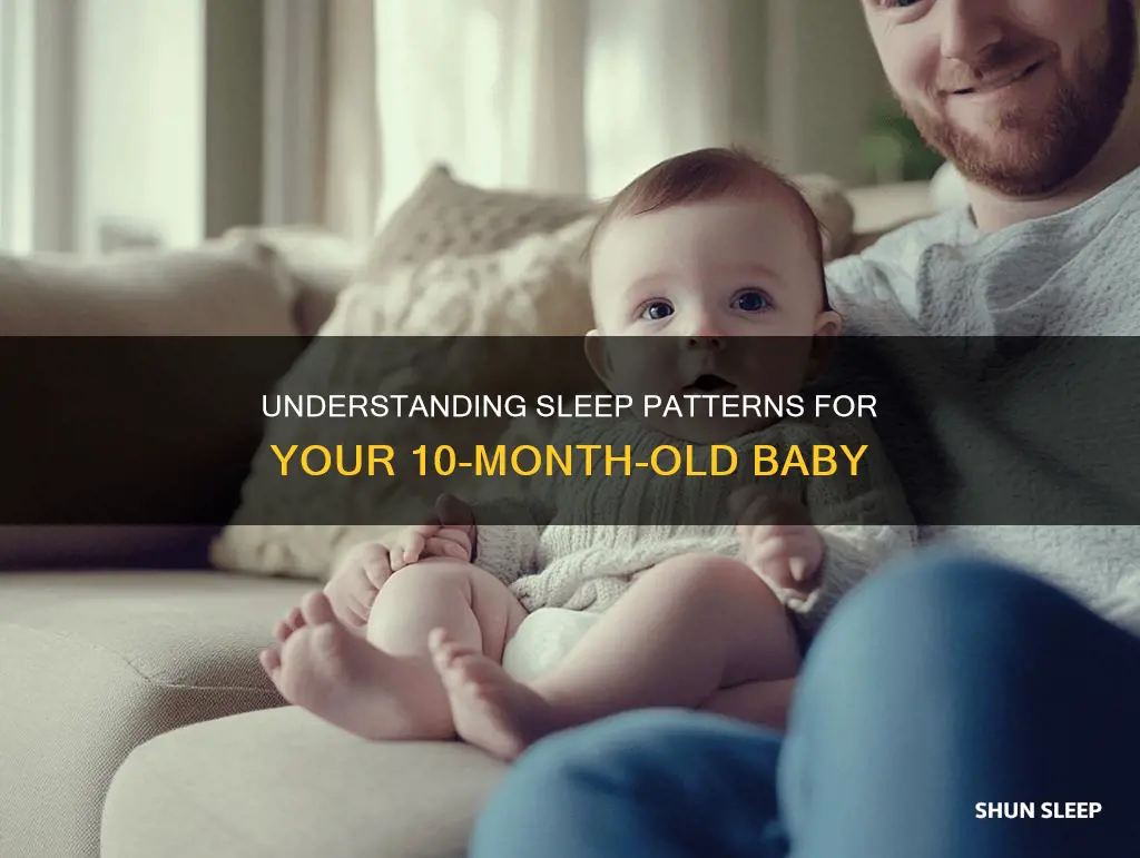 how often should my 10 month old sleep