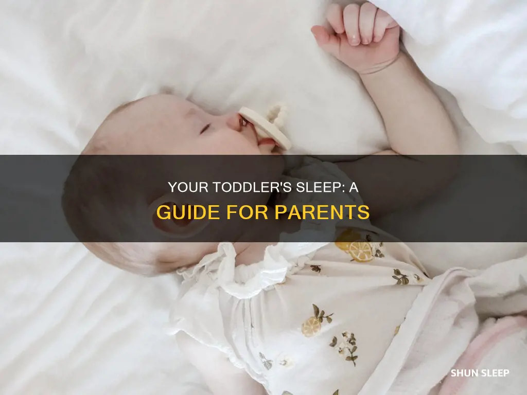 how often should my 13 month old sleep