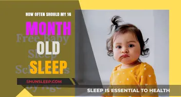 Sleep Guide for Toddlers: How Much is Enough?