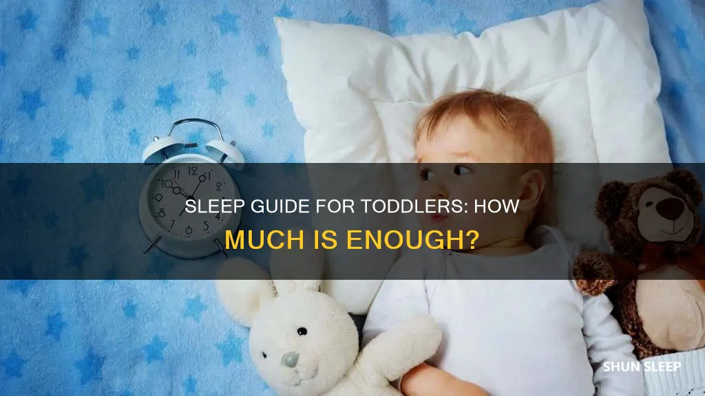 how often should my 16 month old sleep