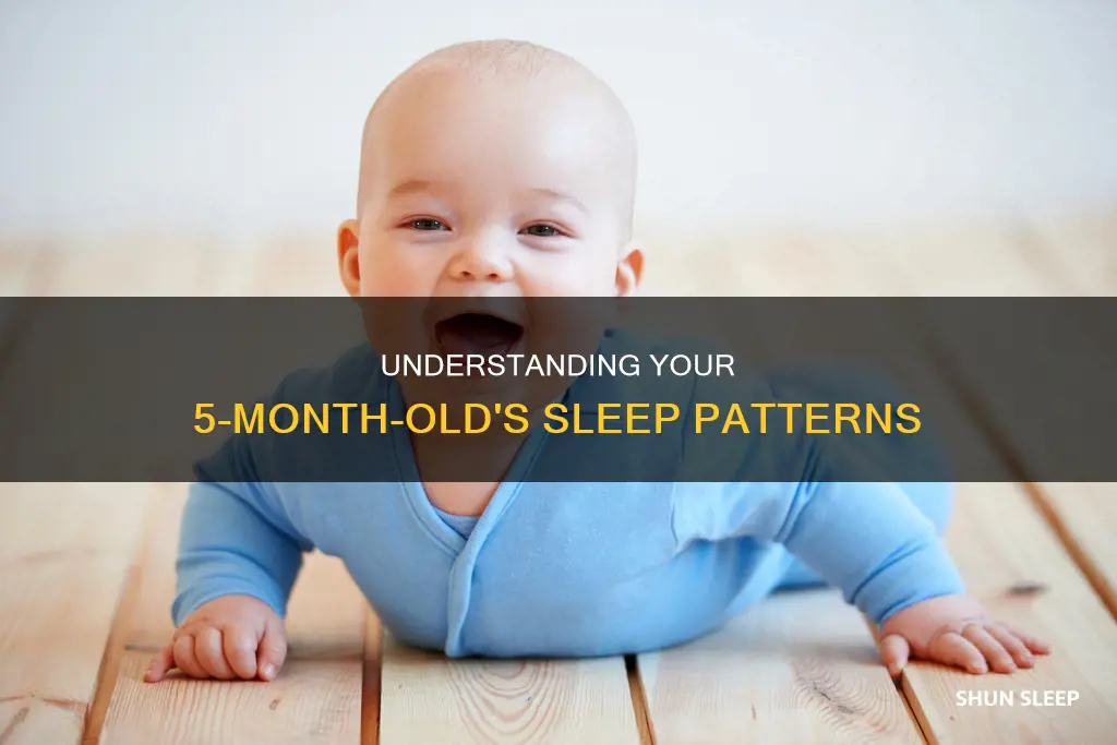 how often should my 5 month old sleep