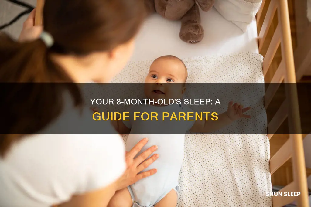 how often should my 8 month old sleep