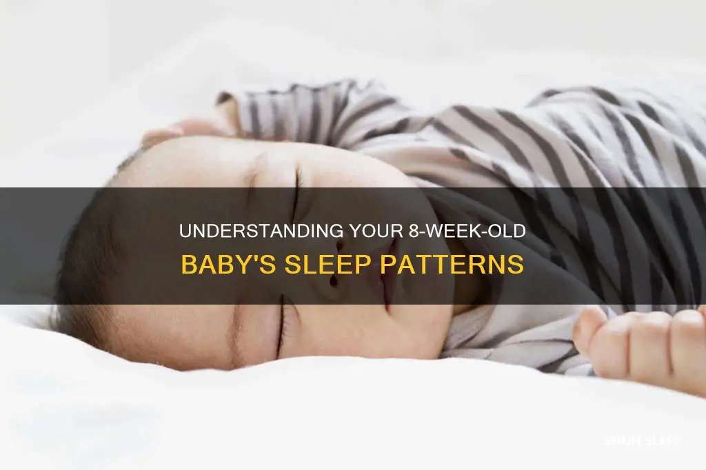 how often should my 8 week old sleep