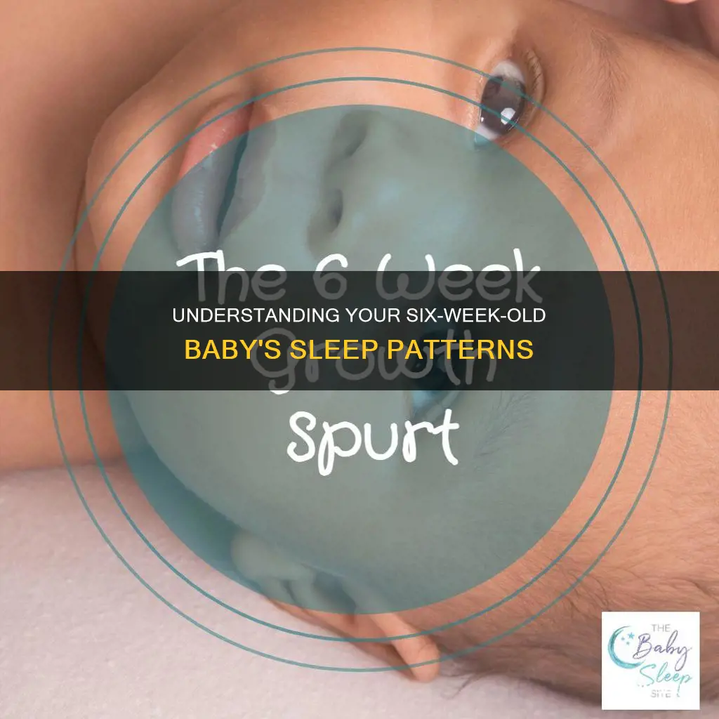 how often should my six week old sleep