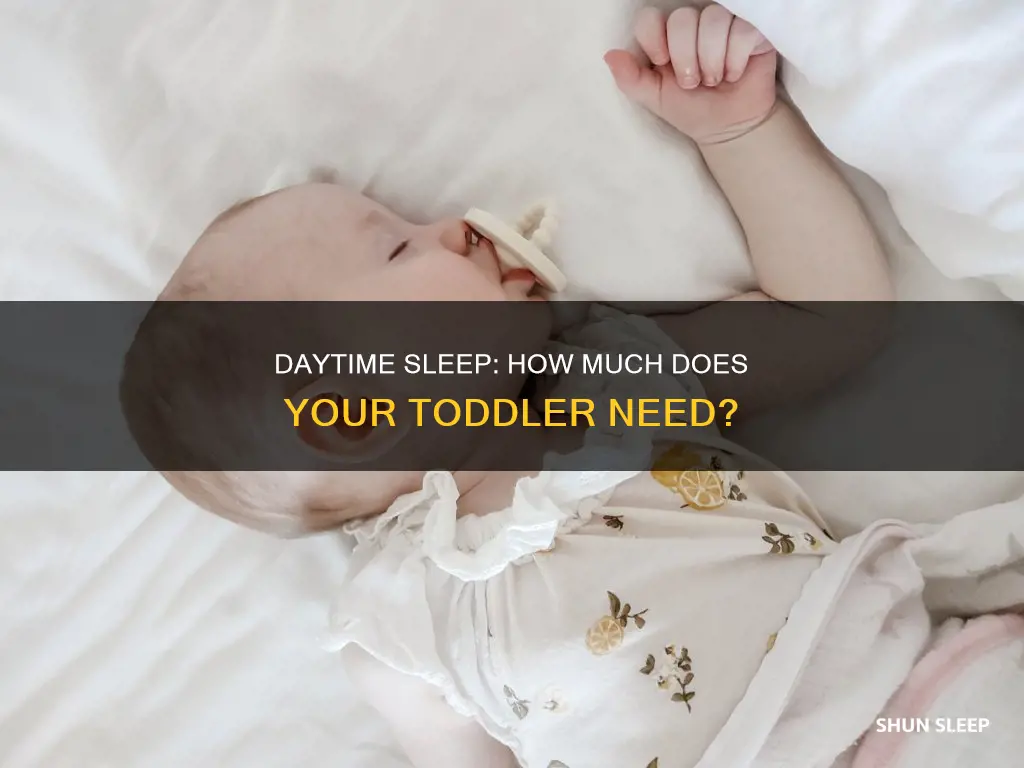 how often should my toddler sleep during the day