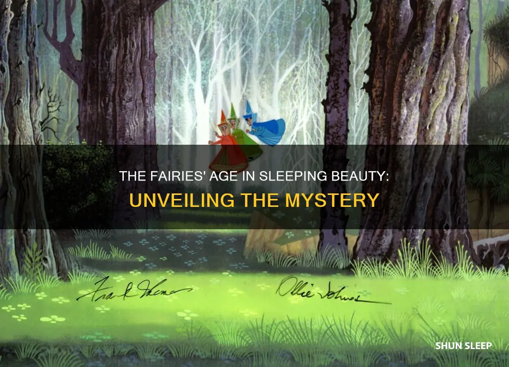 how old are the fairies in sleeping beauty