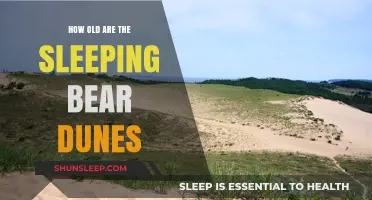 Ancient Sleeping Bear Dunes: A Geological Mystery