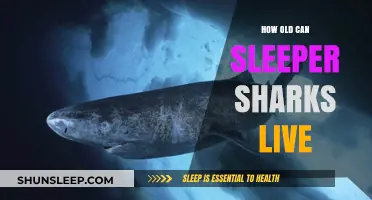 Sleeper Sharks: The Secret to Their Longevity