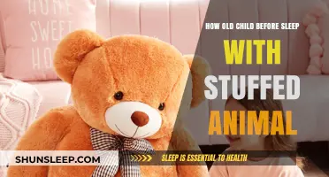 The Comfort of Stuffed Animals: When to Introduce Them