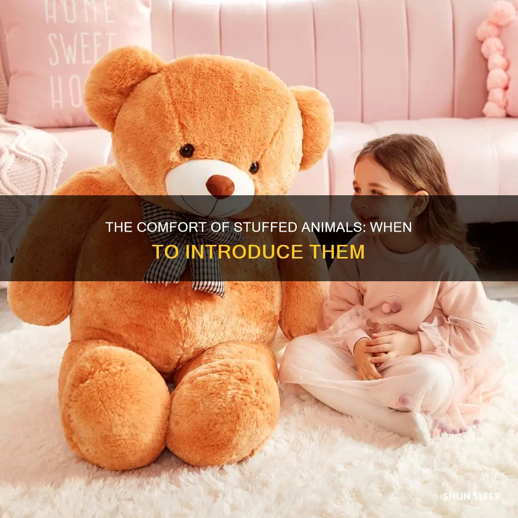 how old child before sleep with stuffed animal