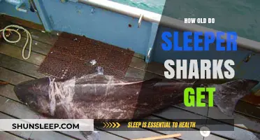 Unveiling the Astonishing Lifespan of Sleeper Sharks: How Old Do They Get?