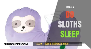 Sloths' Sleep Habits: Age-Related Insights