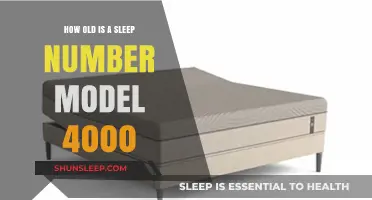The Age of Sleep Number Model 4000