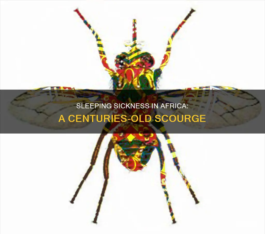how old is sleeping sickness in africa