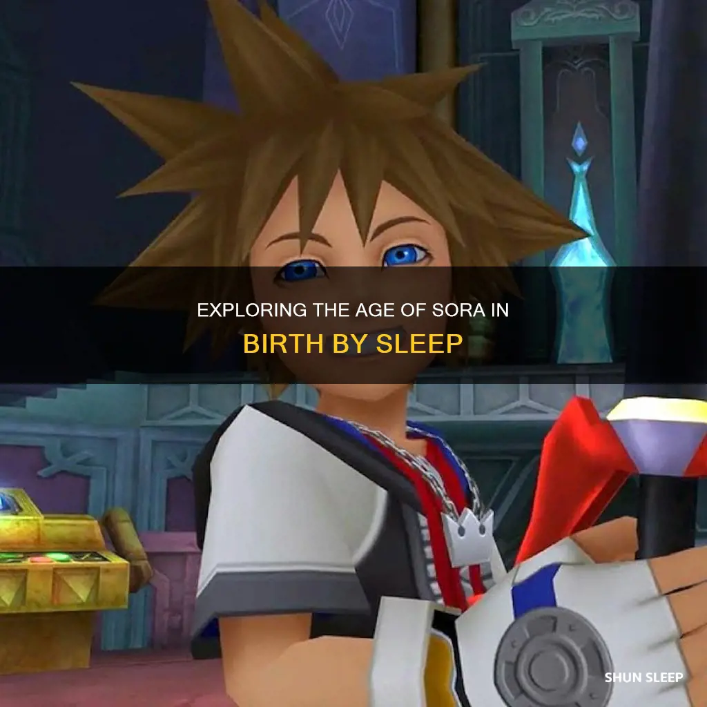 how old is sor in birth by sleep