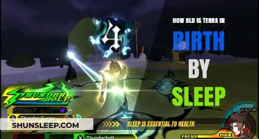 Terra's Age in Birth by Sleep: Explained
