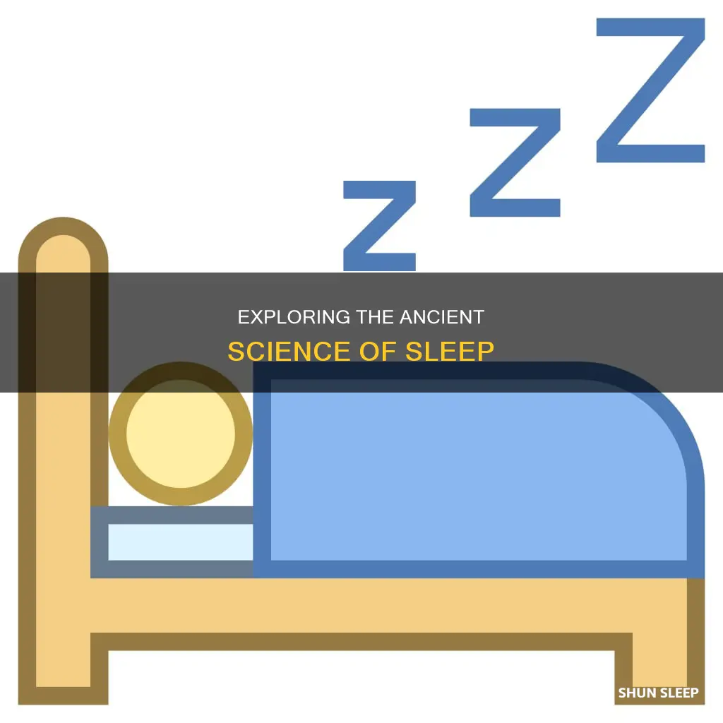 how old is the science of sleep