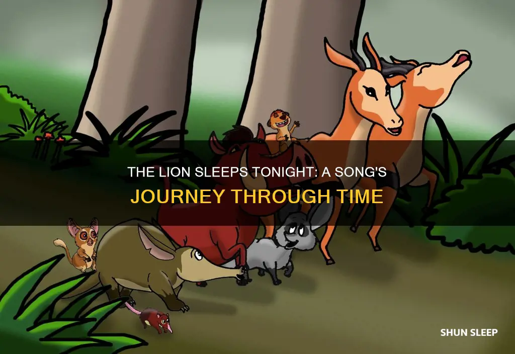 how old is the song the lion sleeps tonight