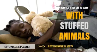 Stuffed Animals: When Do They Become Inappropriate Sleep Companions?