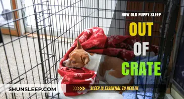 When Can Puppies Sleep Out of Crate?