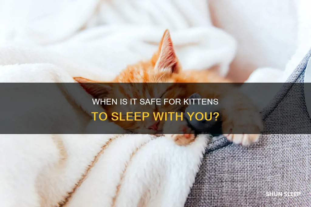how old should a kitten be to sleep with you