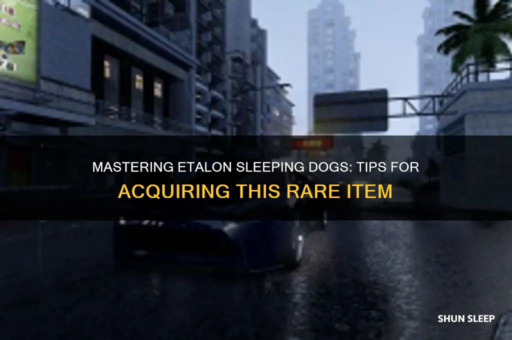 how ot get the etalon sleeping dogs