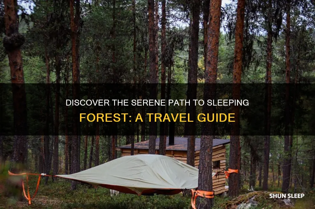 how ot get to sleeping forest