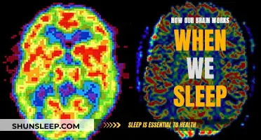 Brain Activity During Sleep: Unraveling the Mystery