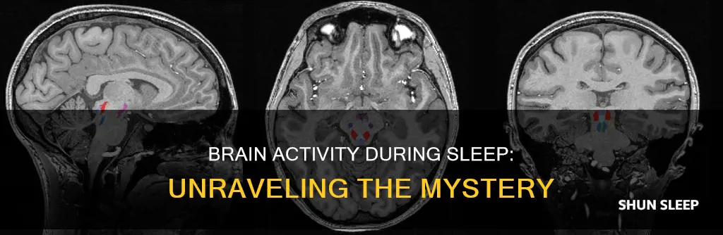 how our brain works when we sleep